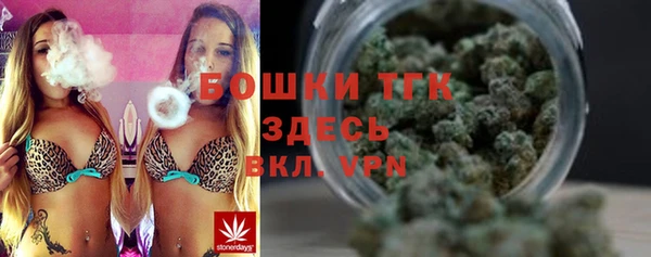 ПСИЛОЦИБИНОВЫЕ ГРИБЫ Горно-Алтайск