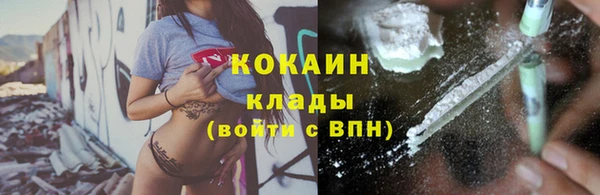 ПСИЛОЦИБИНОВЫЕ ГРИБЫ Горно-Алтайск
