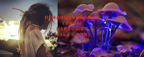 прущие крисы Горнозаводск