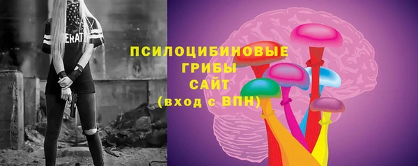 ПСИЛОЦИБИНОВЫЕ ГРИБЫ Горно-Алтайск
