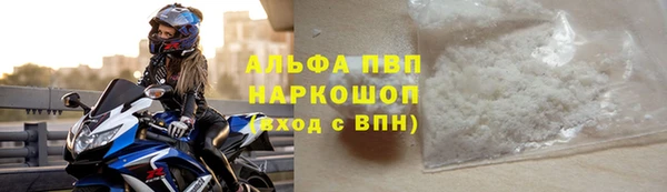 ПСИЛОЦИБИНОВЫЕ ГРИБЫ Горно-Алтайск