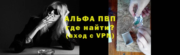 ПСИЛОЦИБИНОВЫЕ ГРИБЫ Горно-Алтайск