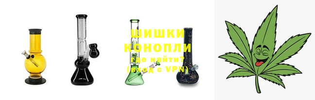 ПСИЛОЦИБИНОВЫЕ ГРИБЫ Горно-Алтайск