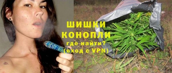 ПСИЛОЦИБИНОВЫЕ ГРИБЫ Горно-Алтайск