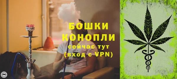 ПСИЛОЦИБИНОВЫЕ ГРИБЫ Горно-Алтайск