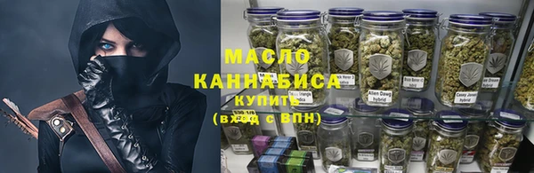 ПСИЛОЦИБИНОВЫЕ ГРИБЫ Горно-Алтайск