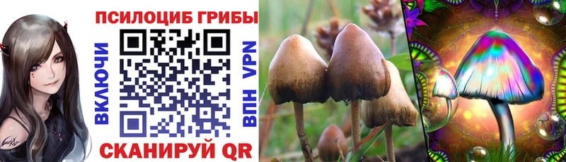 Псилоцибиновые грибы ЛСД  Купить где  Боготол 